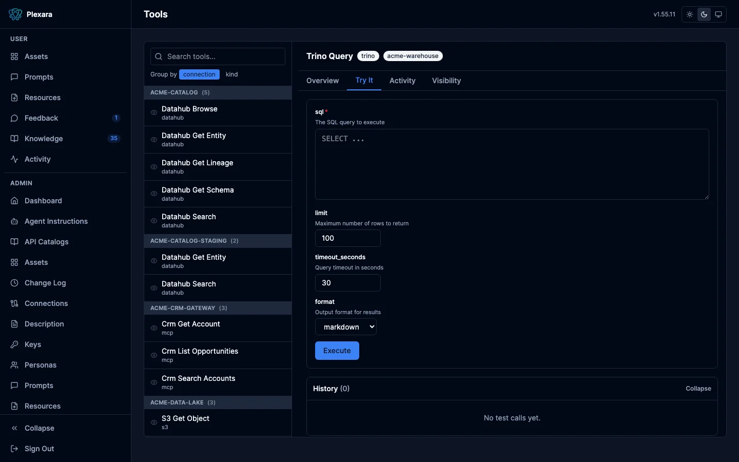 Tool Try It tab with a dynamic parameter form, execute button, and call history