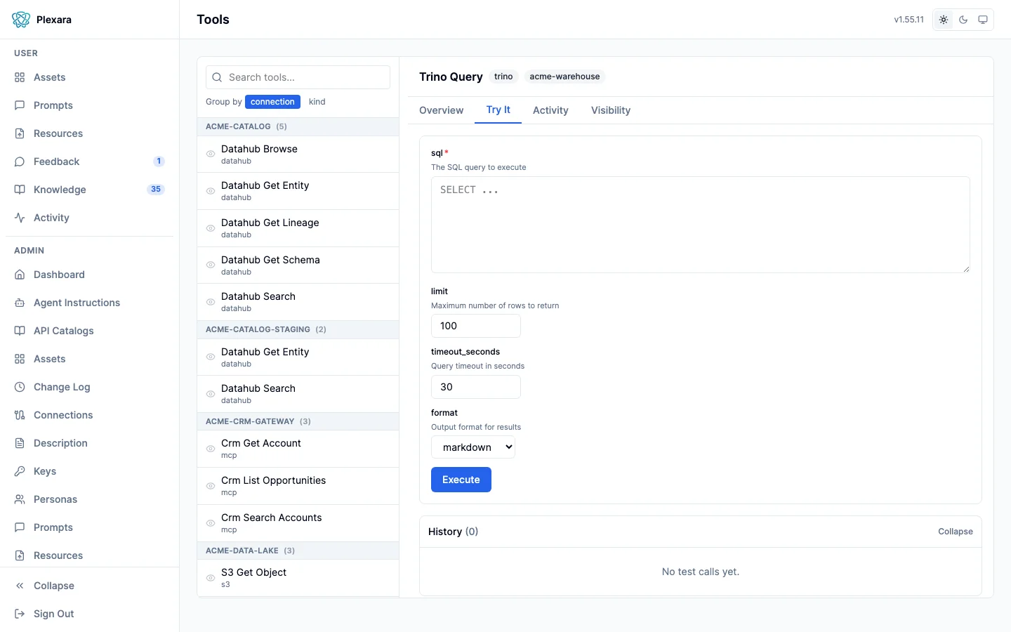 Tool Try It tab with a dynamic parameter form, execute button, and call history