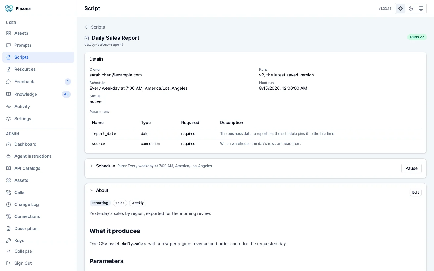 A script's portal page showing its details, schedule stated in words, and the parameters a run binds